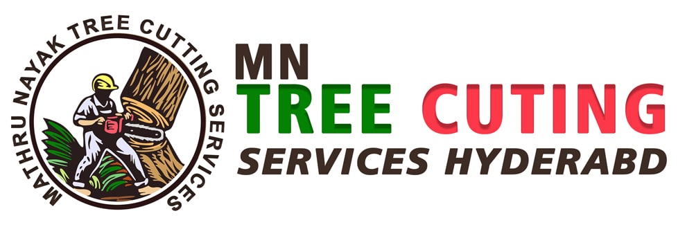 MN Tree Cutting Services | Tree Pruning Cutting Removal